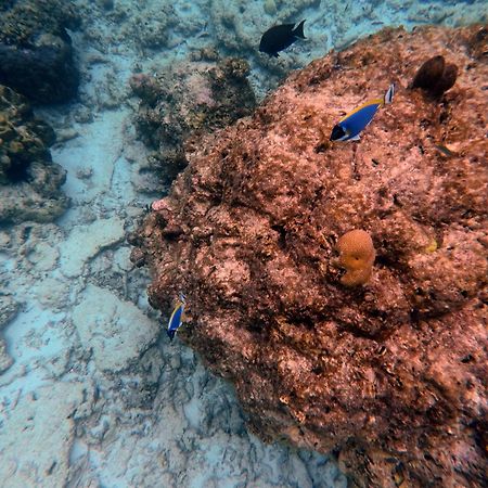 Moodhumaa Inn Guraidhoo  Esterno foto