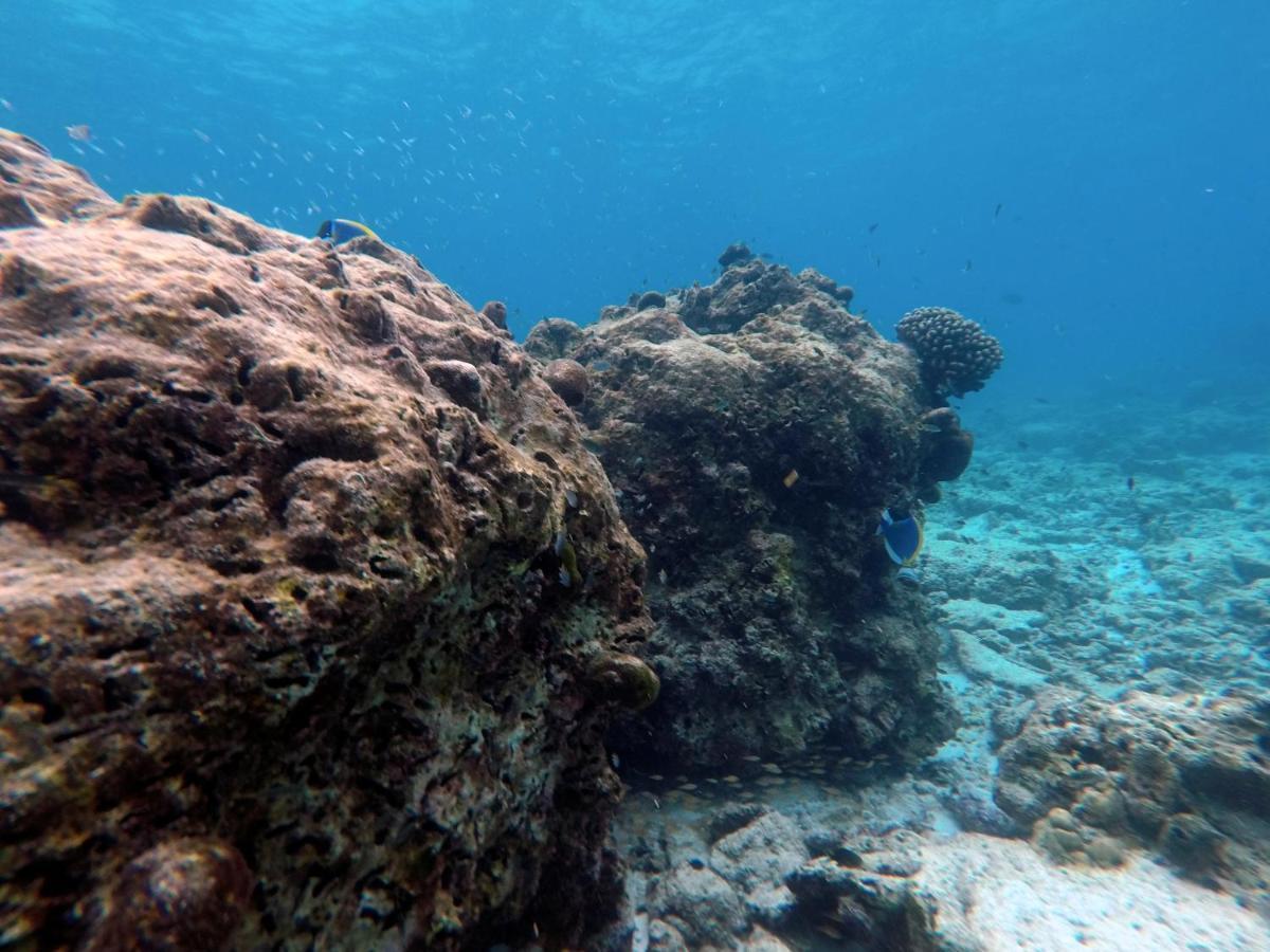 Moodhumaa Inn Guraidhoo  Esterno foto