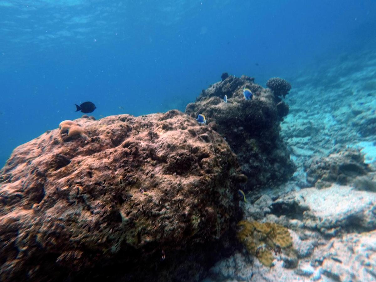 Moodhumaa Inn Guraidhoo  Esterno foto