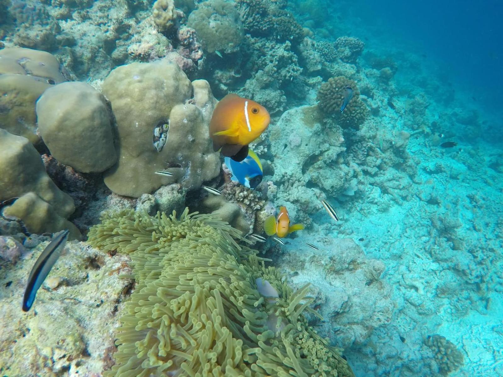 Moodhumaa Inn Guraidhoo  Esterno foto