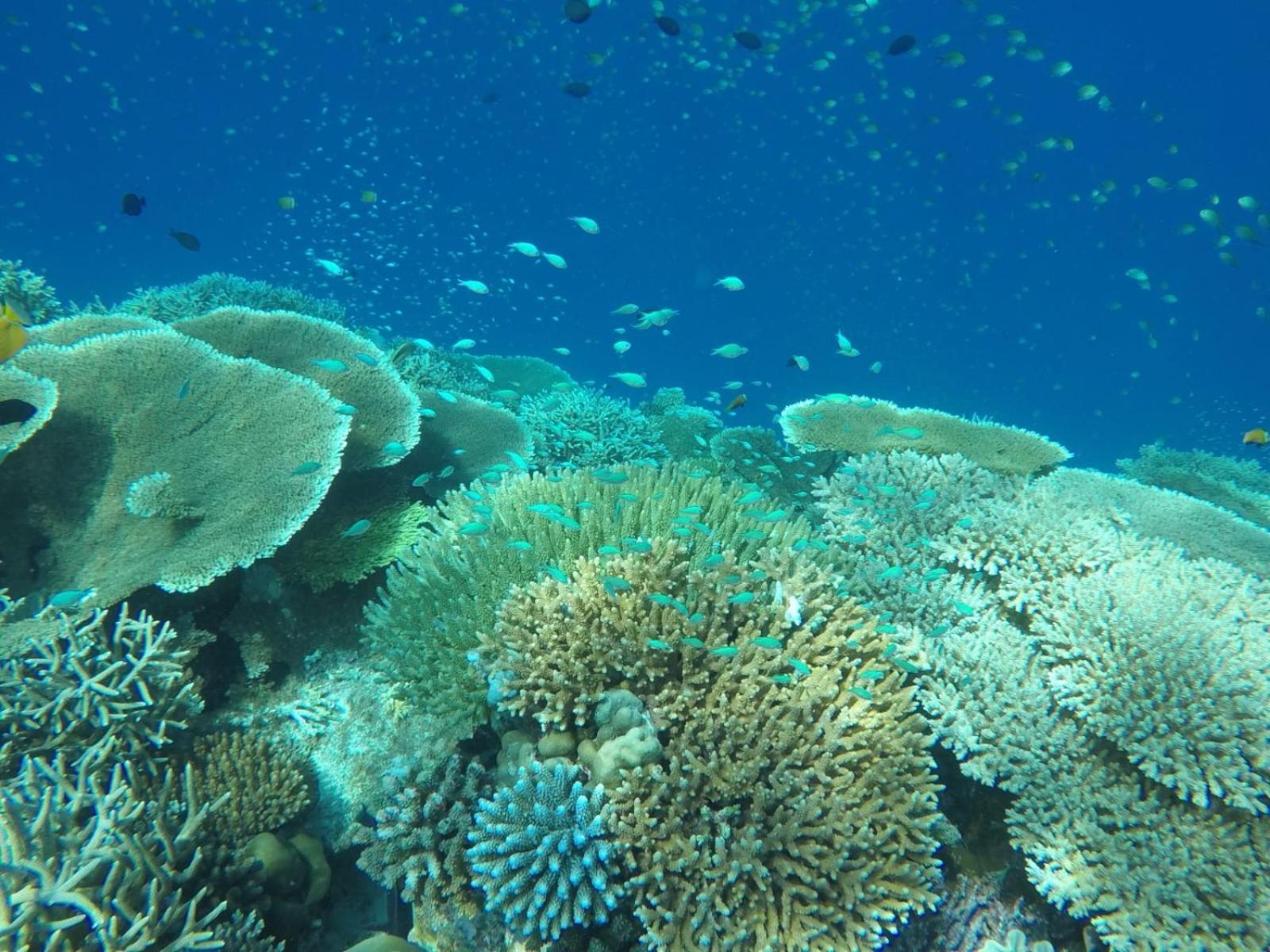 Moodhumaa Inn Guraidhoo  Esterno foto