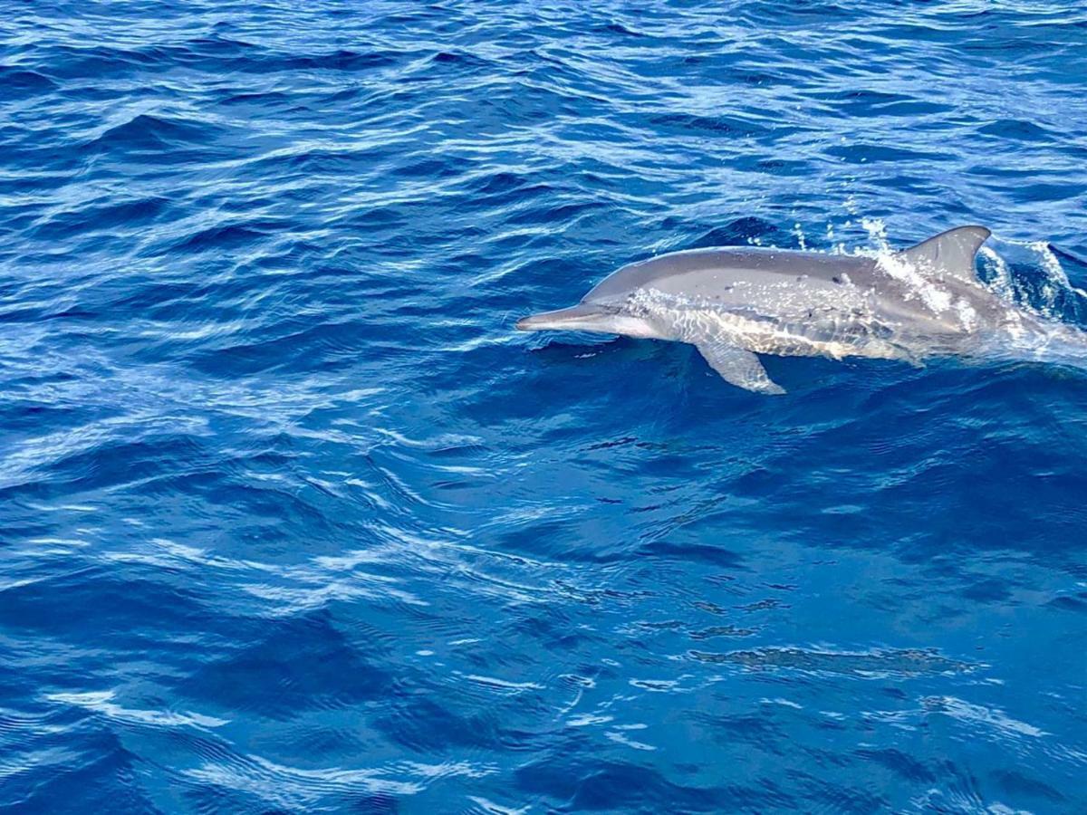 Moodhumaa Inn Guraidhoo  Esterno foto