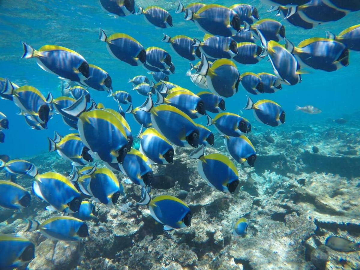 Moodhumaa Inn Guraidhoo  Esterno foto