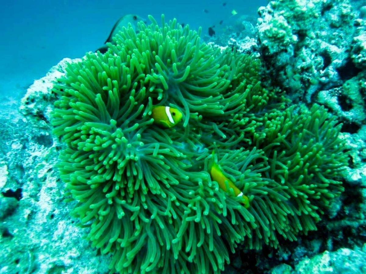 Moodhumaa Inn Guraidhoo  Esterno foto